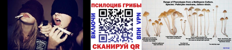 купить наркотик Бугульма Псилоцибиновые грибы GOLDEN TEACHER
